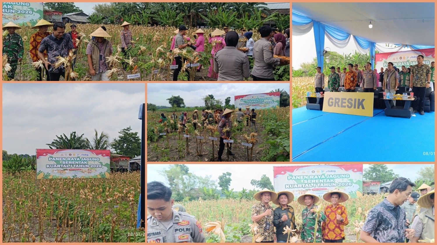 panen-raya-jagung-serentak-kuartal-i-tahun-2026-digelar-di-desa-sumbergede
